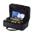 thumbnail image 3 of Palm Mini Pocket Trumpet Bb Flat Brass Wind Instrument with Mouthpiece Gloves Cleaning Cloth Carrying Case, 3 of 7