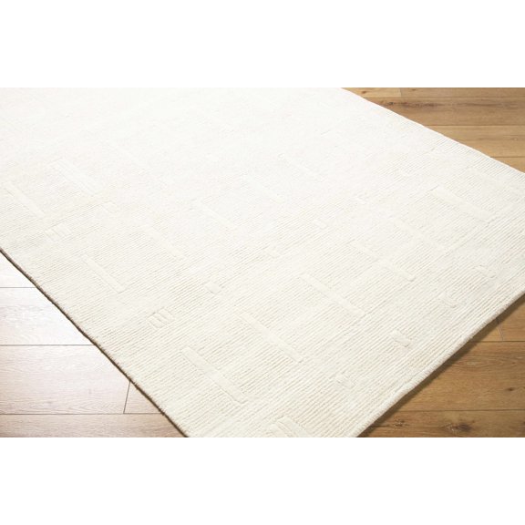 BoutiqueRugs Charan Contemporary Area Rug - Ivory, Cream, Off White - 2' x 3'