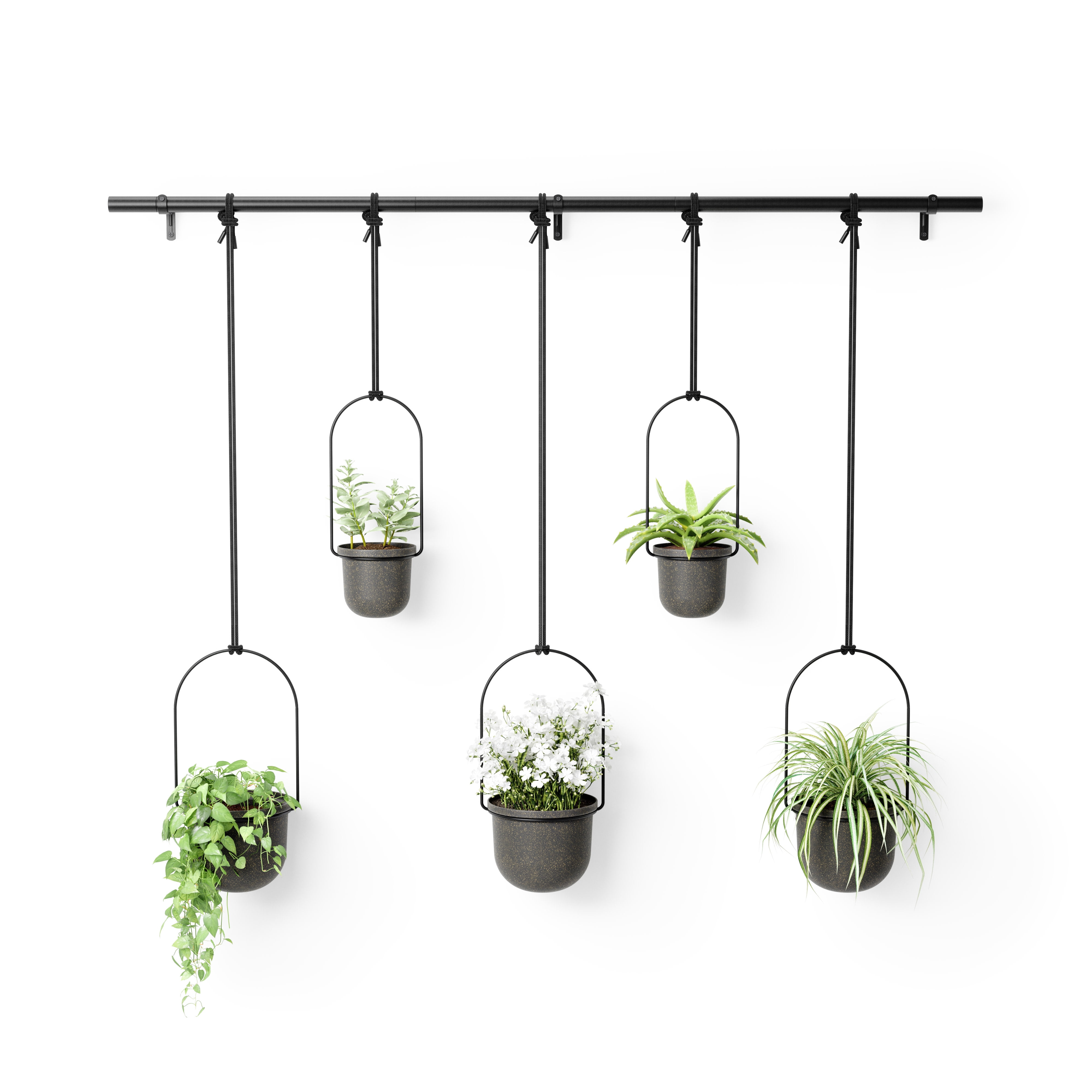 White/Brass Triflora Hanging Planters for Indoor Plants or Herbs Umbra 