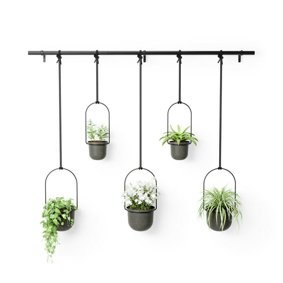 Umbra Triflora Hanging Planter Set of 5 Black