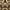 Brown, variant on Maples Rugs Vivian Transitional Medallion Persian Blue Washable Hallway Runner Rug, 1'8 x 5'