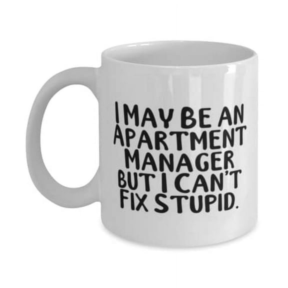 Inspire Apartment manager Gifts, I May Be an Apartment Manager but I Can't Fix Stupid, Christmas 15oz Mug F Apartment manager