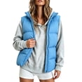 thumbnail image 3 of DYTTDG Women's Solid Color Stand Collar Puffer Vest, Full Zipper Sleeveless Outerwear With Side Pockets, Lightweight Casual Quilted Gilet for Fall Winter Daily Wear, 3 of 8
