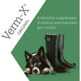thumbnail image 2 of Verm X Natural Liquid For Dogs 250ml, 2 of 9