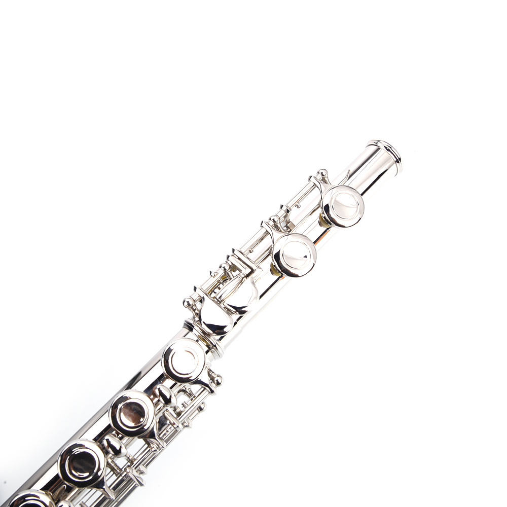 Tcbosik C Closed Hole Flute, 16-Key Nickel Plated Flutes Kit with Carring Bag, Cloth and Cleaning Rod for Concert and Band, Silver