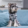 thumbnail image 4 of Pijama CuteBone para perro y cachorro, suave y cómodo, P281S, 4 of 6