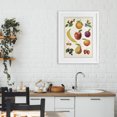 thumbnail image 3 of Stupell Industries Traditional Fruit Collection Studies White Framed Print Under Glass, 17 x 23, by Diane Neukirch, 3 of 8