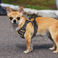 thumbnail image 4 of Magshion No Pull Mesh Dog Harness with Control Handle, Reflective Vest Pet Harness for Small Dogs, Light Brown XS, 4 of 9