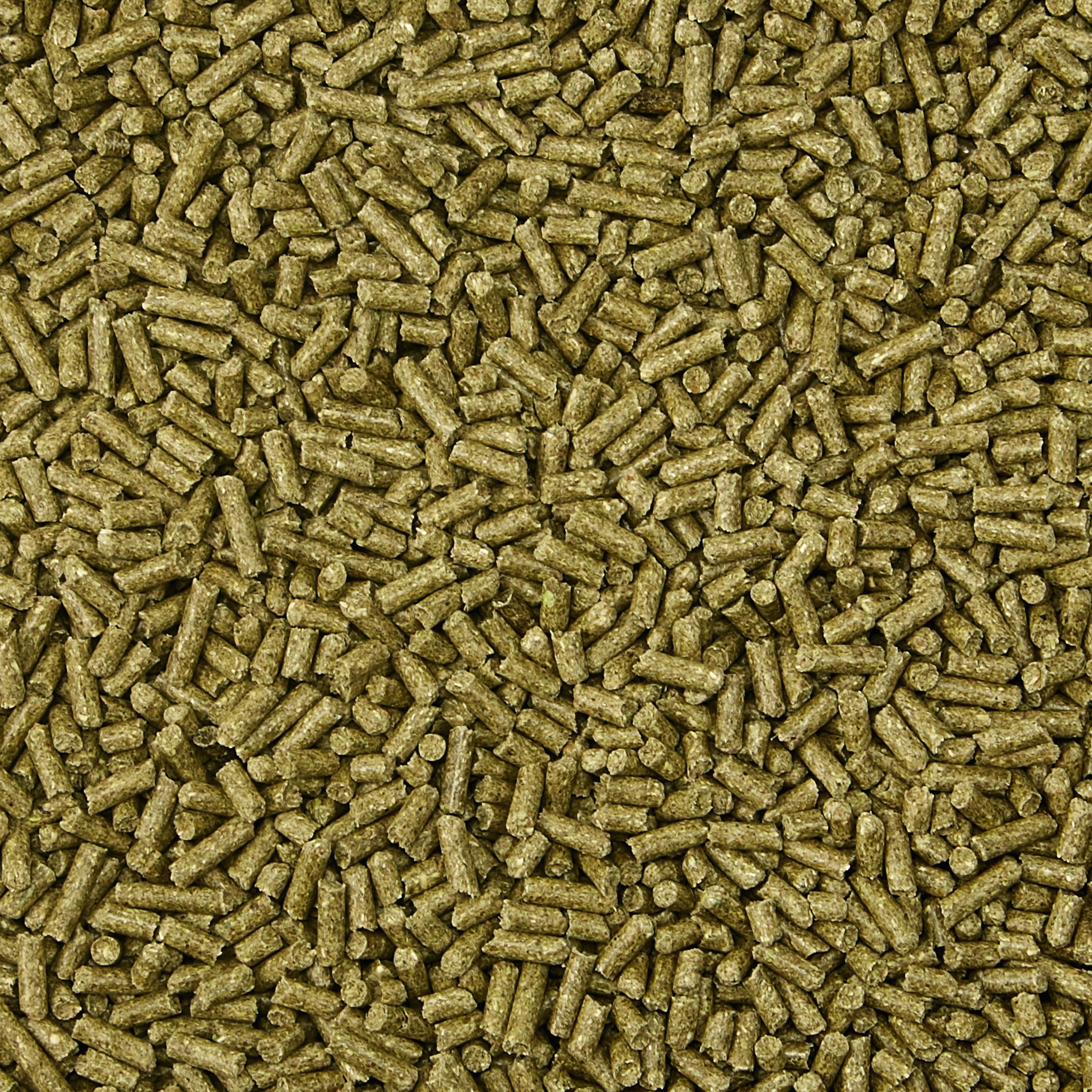 kaytee timothy complete