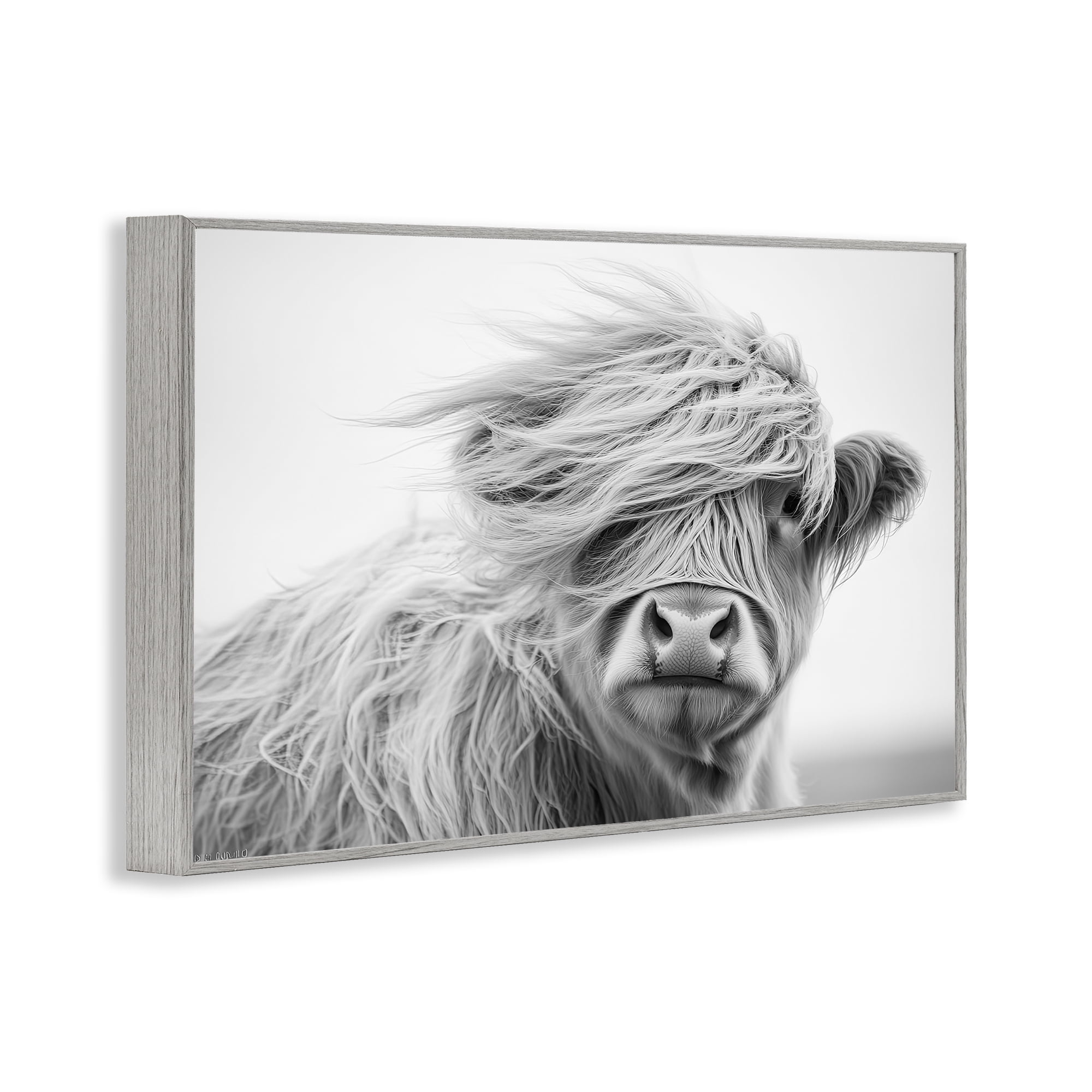 Stupell Industries Easy Breezy Highland Gray Framed Giclee Art, design by Tina LeCour