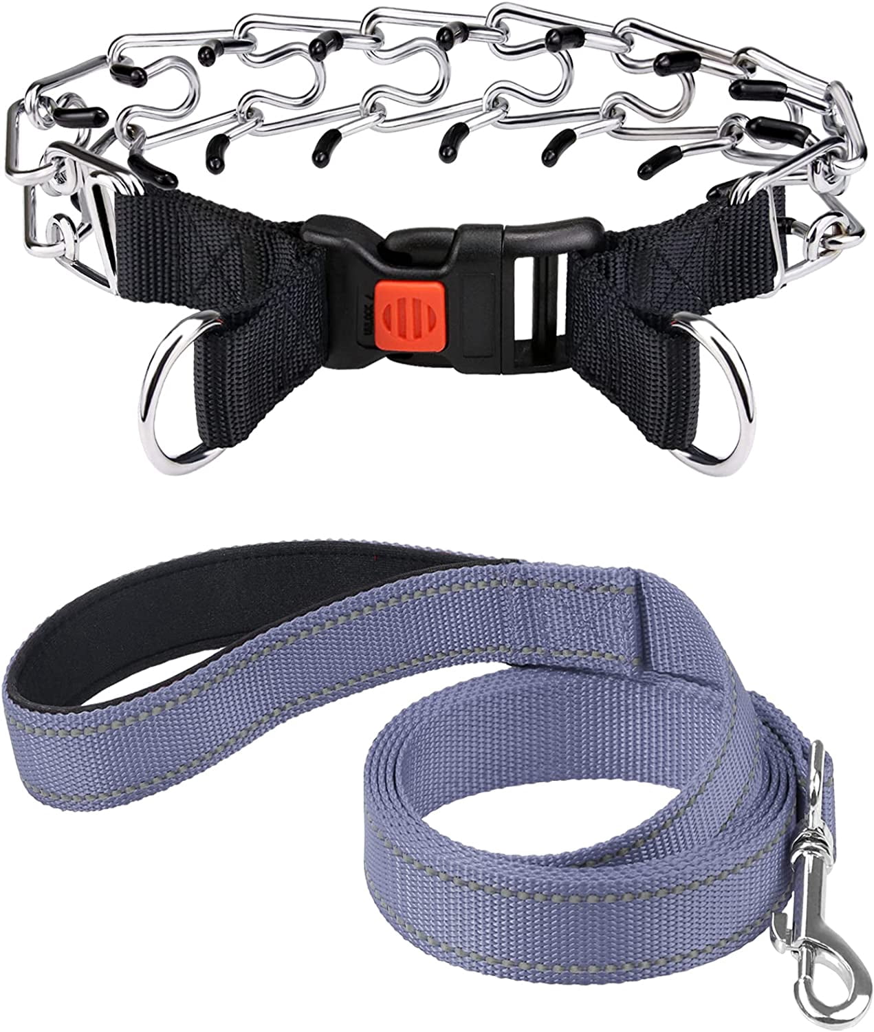 prong collar leash