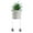 F, variant on CurioCo Cute Swinging Leg Succulent Girl in Pot Artificial Potted Plant with Moving Feet Funny Desk Decor Office Home Gift Green Plant Ornament