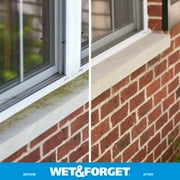 (عبوة من قطعتين) بخاخ مزيل بقع الطحالب والعفن والفطريات والطحالب من Wet & Forget للاستخدام الخارجي، 64 أونصة