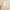 White, variant on Clearance!Bunenne Cropped Cardigan Fall Cardigans for Women 2024 Women's Long Sleeve Ice Silk Knit Skirt V Neck Cardigan Cardigan for Women Green 3Xl