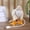color_New#12, variant on Chicken Egg Lamp, Funny Hen Resin Table Lamp, LED Laying Egg Night Light, Quirky Chicken Decor, Soft Ambient Lighting for Home Bedroom Nursery