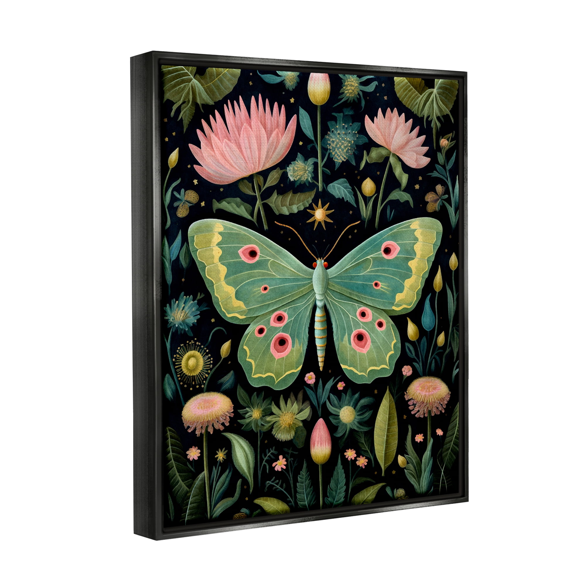Stupell Industries Moth with Nature Botanicals Animals & Insects Painting Black Floater Framed Canvas Art Print Wall Art, 17 x 21