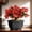 L, variant on Flowerpot Potted Home Gardening Balcony Succulents Plants Pot
