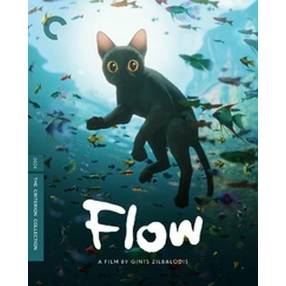 Flow (Criterion Collection)