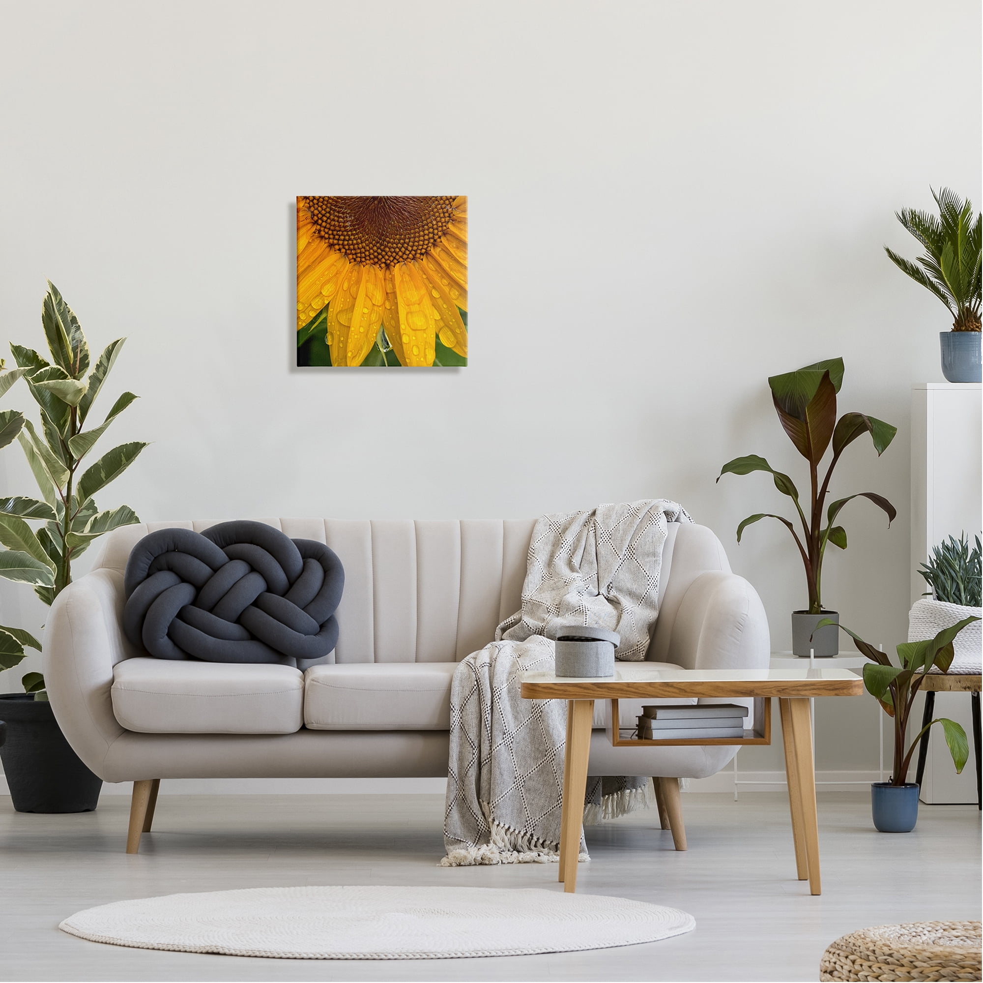 Stupell Industries Water Droplets Sunflower Nature Botanical & Floral Photography Gallery Wrapped Canvas Print Wall Art