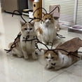 thumbnail image 3 of Cat Cockroach Clothing DIY Kit, Funny Kitten Cape Craft Set, Cosplay Halloween Party Decoration for Cat and Small Dog(1pc), 3 of 6