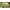 Brown, variant on AMOBRO 8x4x1ft Outdoor Metal Raised Garden Bed Planter Box for Vegetables, Flowers, Herbs w/ 3 Tomato Cages Brown