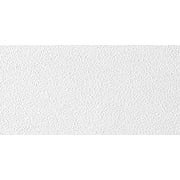 USG Sheetrock 4 ft. L X 2 ft. W 0.5 in. Square Edge Ceiling Panel 1 pk