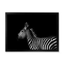 Designart 'Sideview Of Zebra In White and Black' Farmhouse Framed Art Print