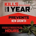 thumbnail image 3 of Ortho GroundClear Year Long Vegetation Killer with Comfort Wand, 1 gal., 3 of 11