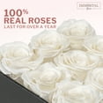 thumbnail image 3 of Immortal Fleur 9 White Preserved Rose Box in an Elegant Square Box | Real Preserved Flowers, 3 of 5
