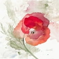 thumbnail image 3 of Loreth, Lanie 20x20 Black Modern Framed Museum Art Print Titled - Translucent Poppy II, 3 of 5