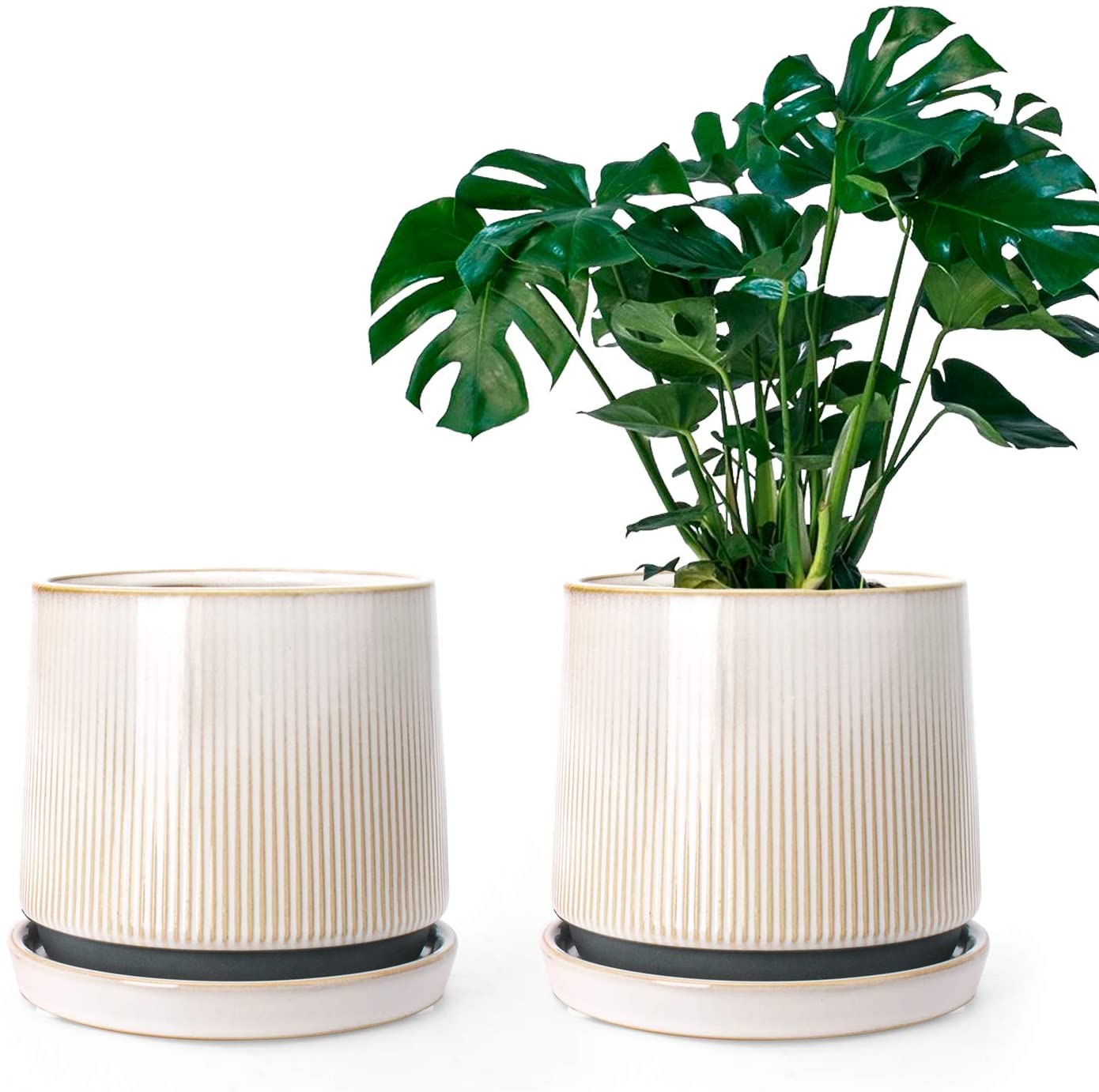 Ceramic Flower Planter Pots for Plants, 5 Inch Succulent