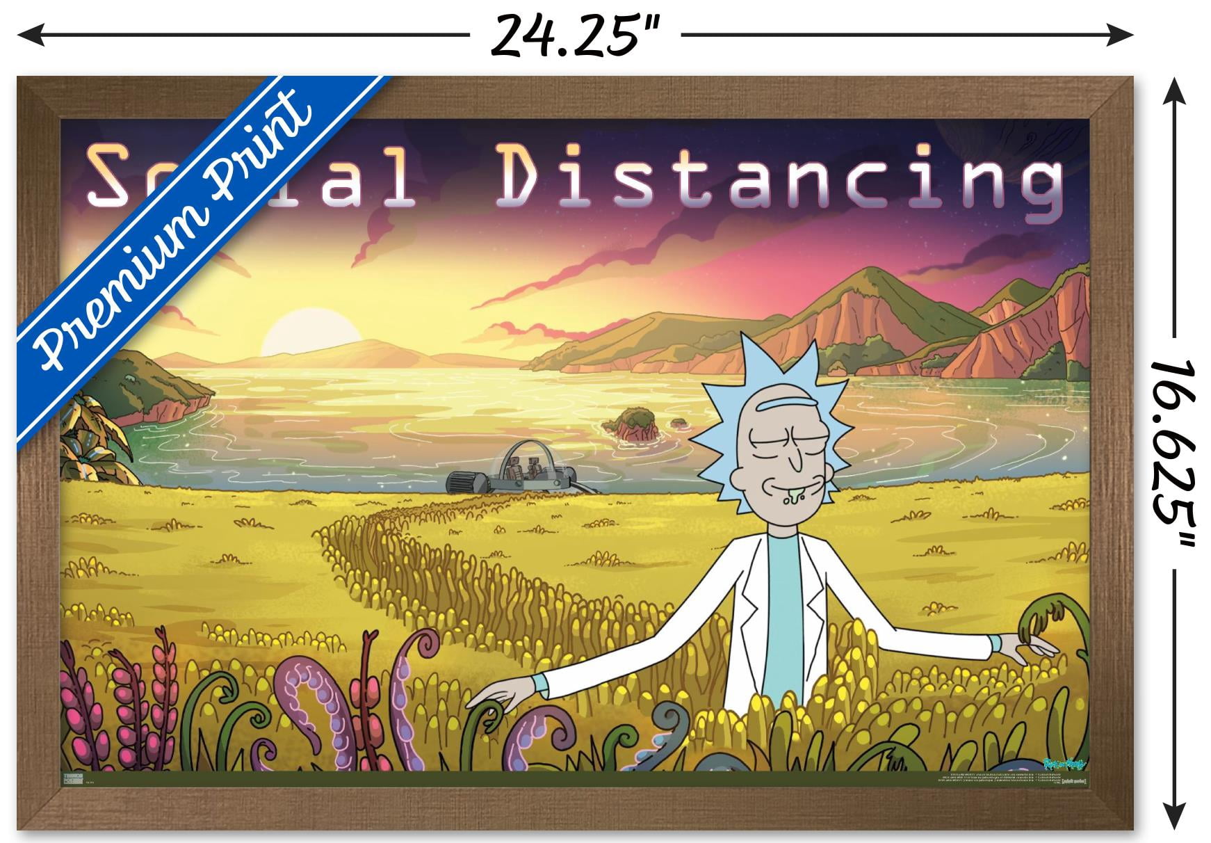 Rick And Morty - Social Distancing Wall Poster, 14.725" x 22.375" Framed
