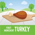 thumbnail image 3 of Good Dog By Wellness Training Rewards Soft Treats for Dogs Turkey & Duck Recipe, 6 Ounce Bag, 3 of 10