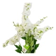 thumbnail image 4 of Ramo Artificial Mainstays 50 cm Glicina Blanco, 4 of 4