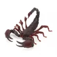 thumbnail image 1 of Insects Gashapon Big Picture Book Series Mantis Spider Scorpion Wasp Simulation Insect Action Figure Model Toys, 1 of 5