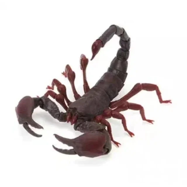 Insects Gashapon Big Picture Book Series Mantis Spider Scorpion Wasp Simulation Insect Action Figure Model Toys