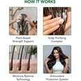 thumbnail image 6 of Botanic Hearth Tea Tree Shampoo and Conditioner Set infused with Vegan Collage, 16 fl oz each - Sulfate & Paraben Free - for Itchy and Dry Scalp - Men and Women, 6 of 11