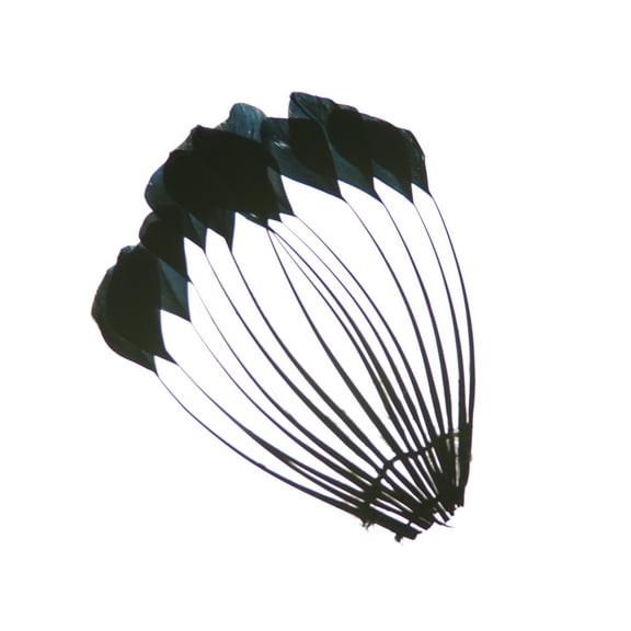 Zucker Feather Products Duck Stripped Center Feather Fan Trim - 4.5" x 5" - Black
