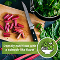 thumbnail image 5 of Rainbow Swiss Chard Seeds - Non GMO Heirloom Varieties for your Home Vegetable Garden - 2 Pack, 5 of 5
