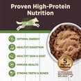 thumbnail image 3 of Wellness CORE Digestive Health Pate Adult Canned Wet Dog Food, Grain Free, Sensitive Stomach, Natural, Lamb Recipe, 13 oz, Pack of 12 Cans, 3 of 7