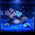 thumbnail image 6 of Ke1Clo Glow in The Dark Aquarium Pebbles, 100 Pcs Fluorescent Stones Substrate Decor, Luminous Aquascaping Gravel for Fish Tank Vase Gardening, Blue, 6 of 6