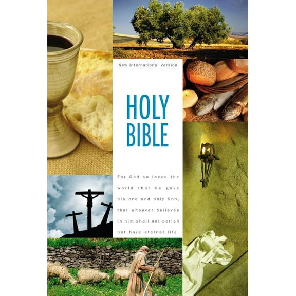 Textbook Bible-NIV, (Hardcover)