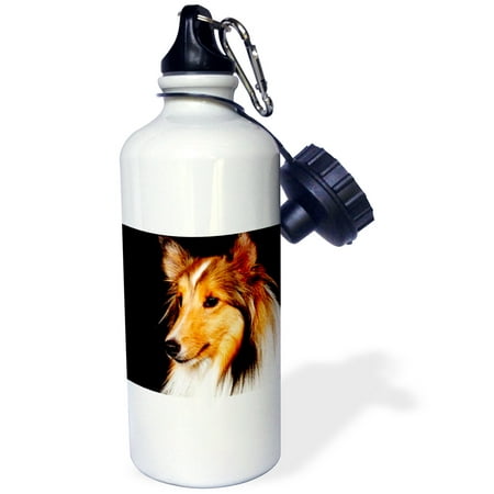 3dRose Sheltie Shetland SheepDog, Sports Water Bottle, 21oz