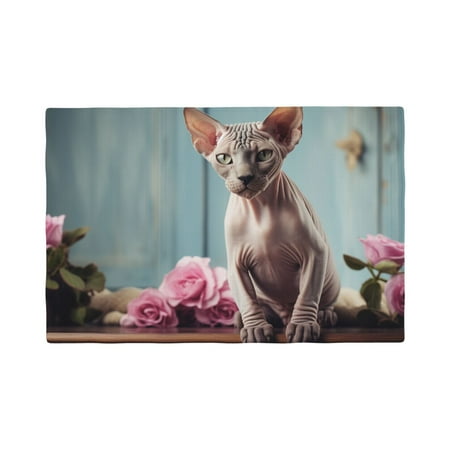 

Placemats Set of 4 / 6 Modern Flower Hairless Cat Placemats for Dining Table Indoor/Outdoors Heat Resistant Washable Placemats 18 x 12