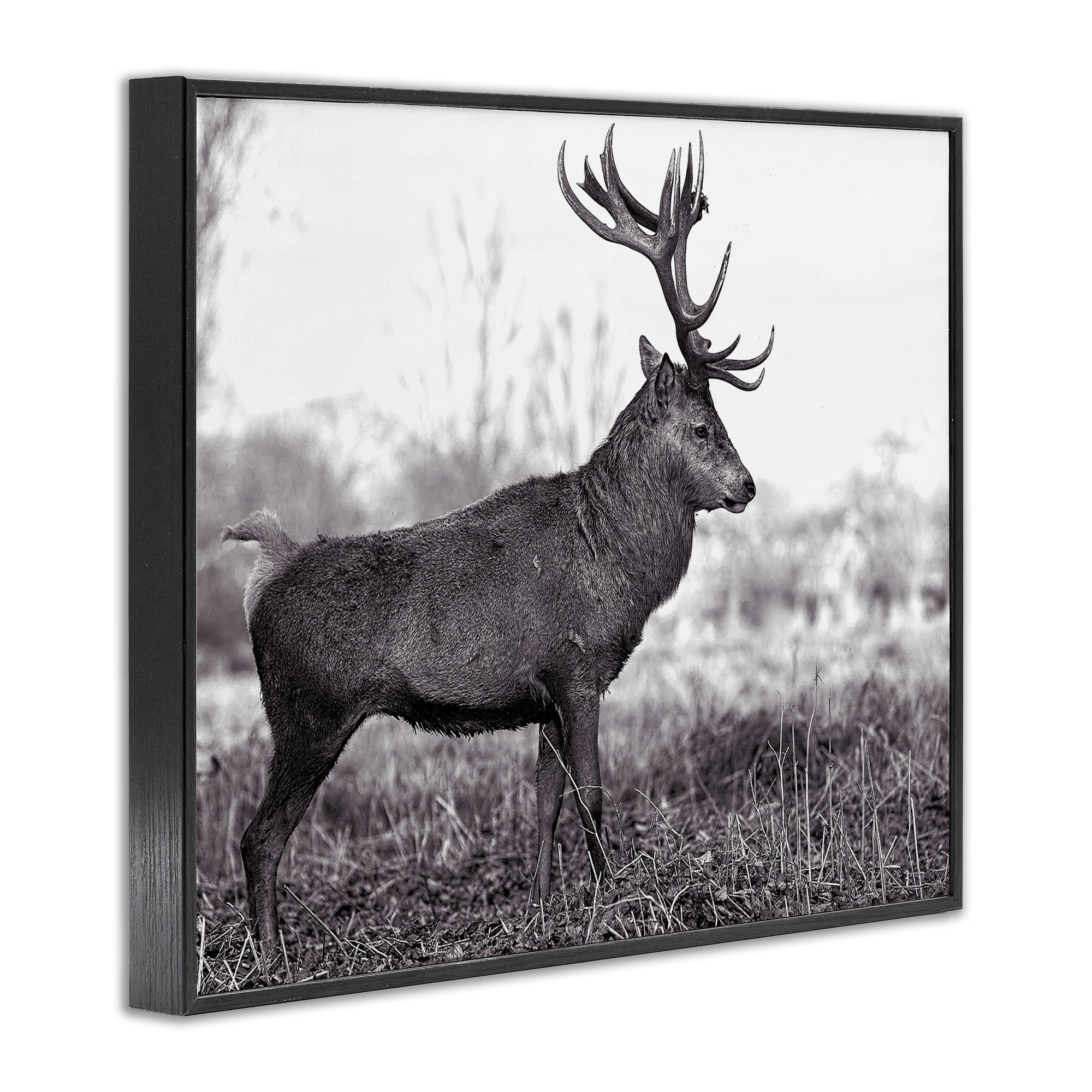 Stupell Industries Elk in Peaceful Forest Animals & Insects Photography Black Framed Art Print Wall Art, 20 x 16