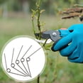 thumbnail image 2 of Miangastore 12pcs Stainless Steel Pruning Shears Springs Replaceable Pruners Spring Trimming Tool Springs, 2 of 8
