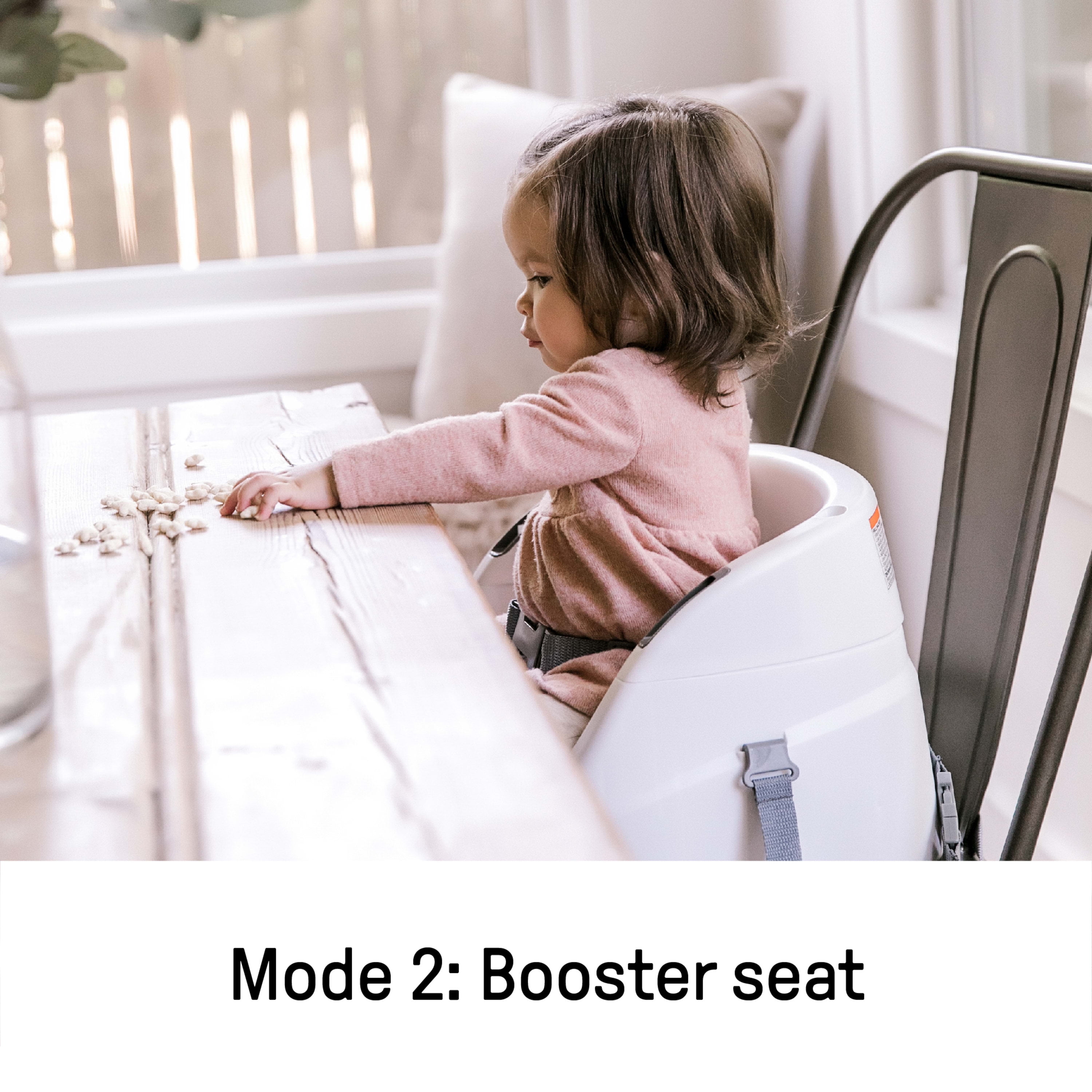 Ingenuity Baby Base 2-in-1 Booster Feeding High Chair and Floor Seat with Self-Storing Tray - Slate - 2