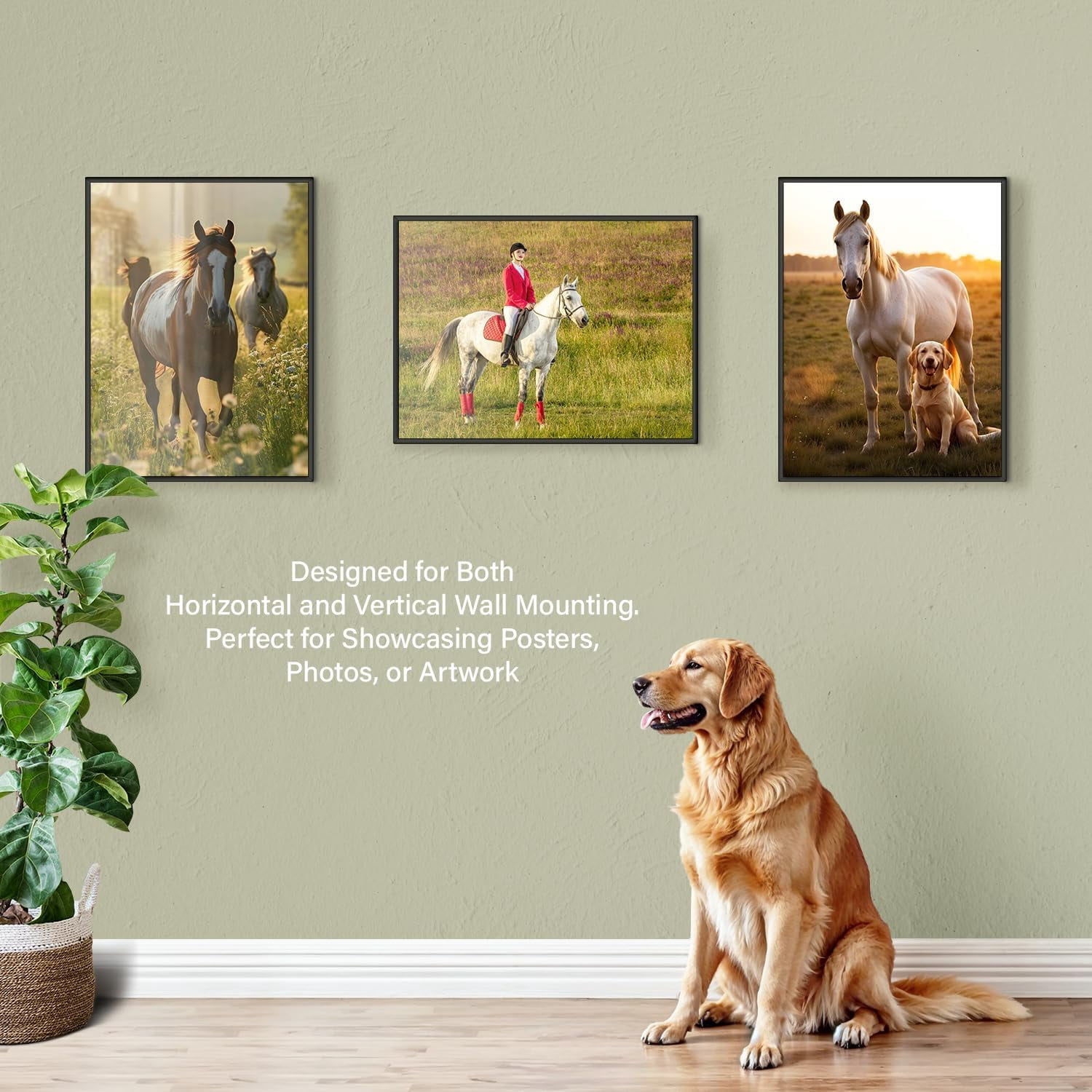Plexon Stylish Poster Frame, 18'' x 24'', Black