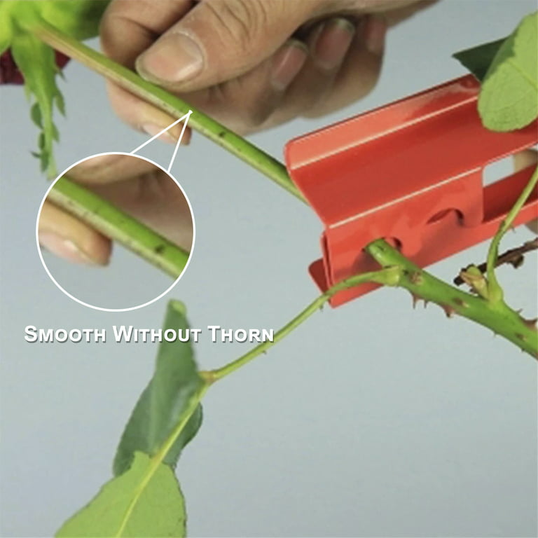 nasekasoy 3pcs Rose Thorn Stripper Professional Rose Leaf Removal Tool Leaf Stripper Thorn Remover Tools
