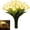 A, variant on Partheme 15 Pieces Tulip LED Night Light Sparkling Flower Vase Set,Romantic Lighting Artificial Flower Bouquet Never Fades,Warm Ambient Lamp for Bedroom Living Room,Valentine's Day Anniversary Gift,B